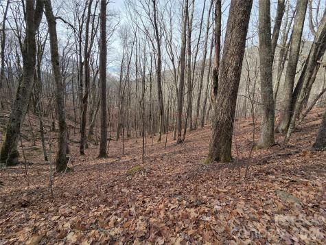 180 Goat House Way Maggie Valley NC 28751