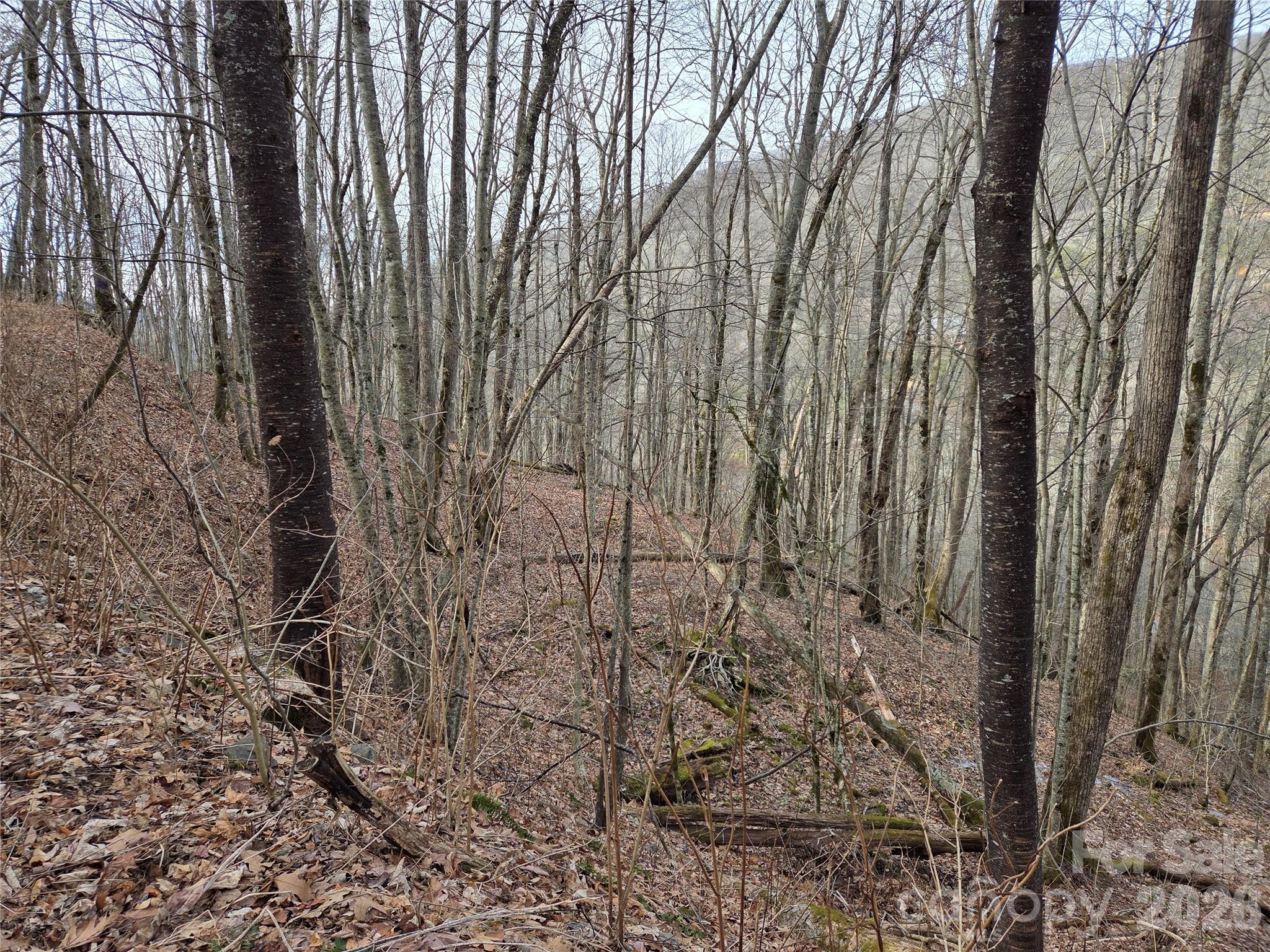 180 Goat House Way Maggie Valley NC 28751