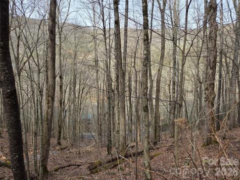 180 Goat House Way Maggie Valley NC 28751