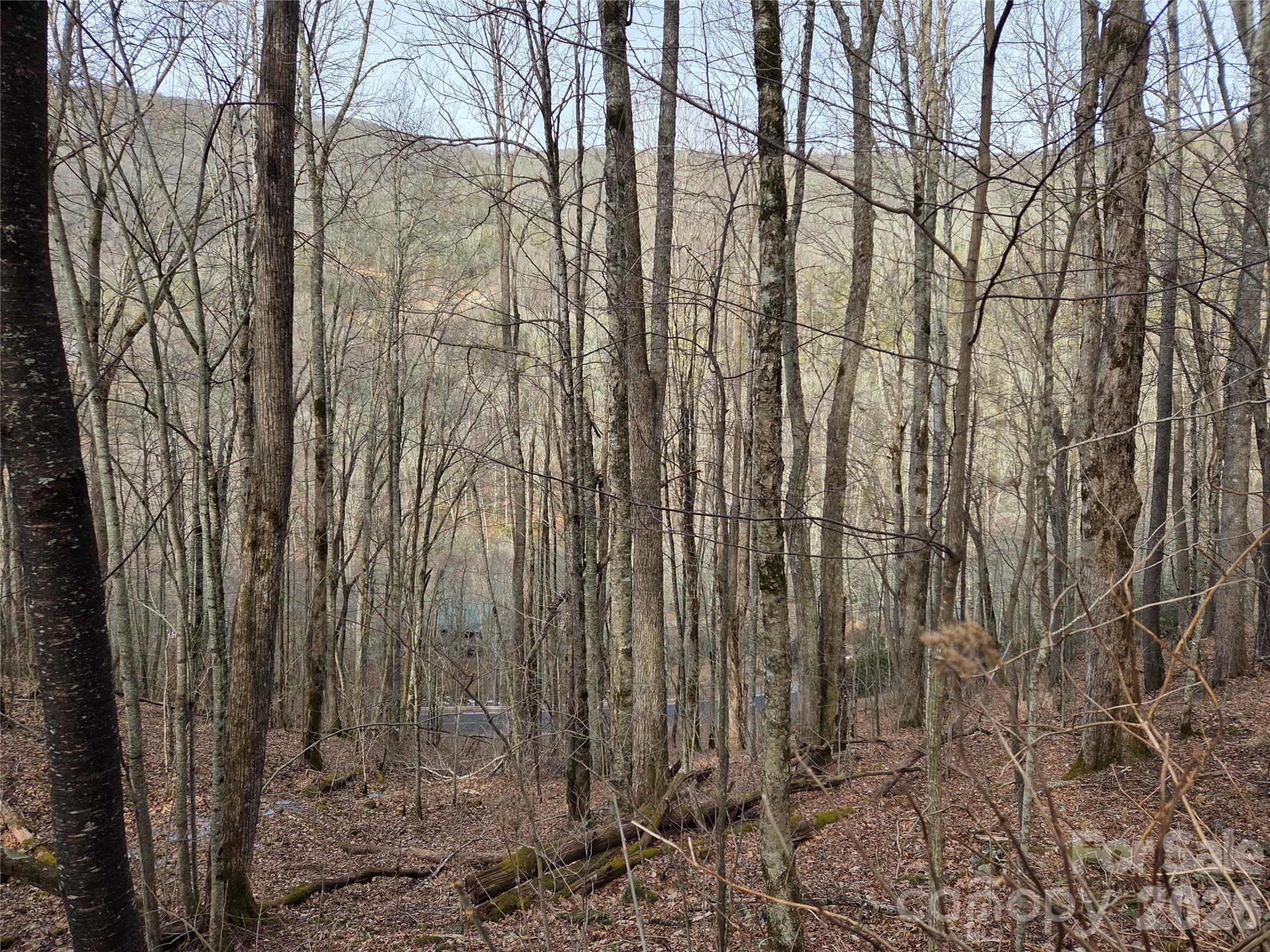 180 Goat House Way Maggie Valley NC 28751