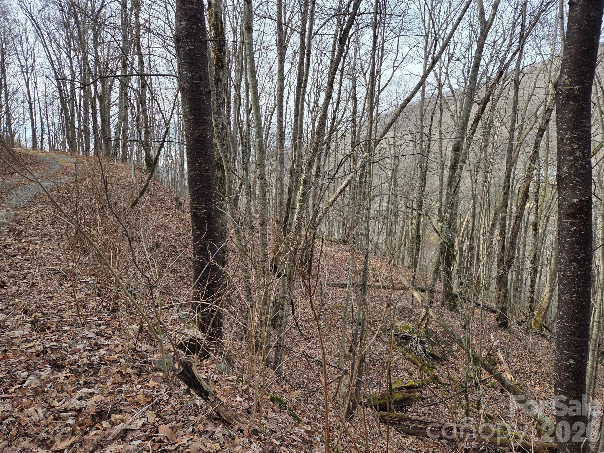 180 Goat House Way Maggie Valley NC 28751