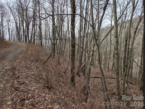 180 Goat House Way Maggie Valley NC 28751