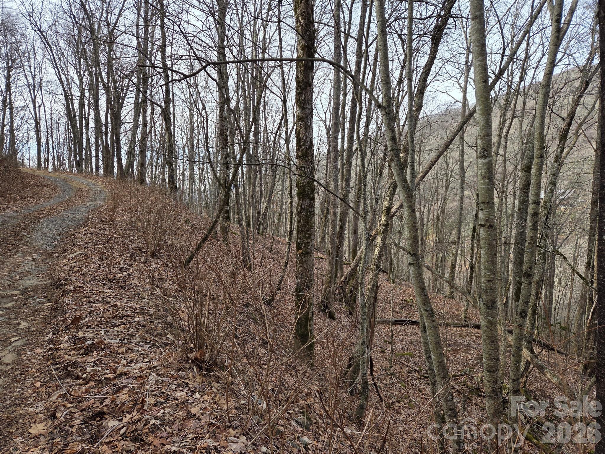 180 Goat House Way Maggie Valley NC 28751