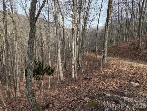 180 Goat House Way Maggie Valley NC 28751