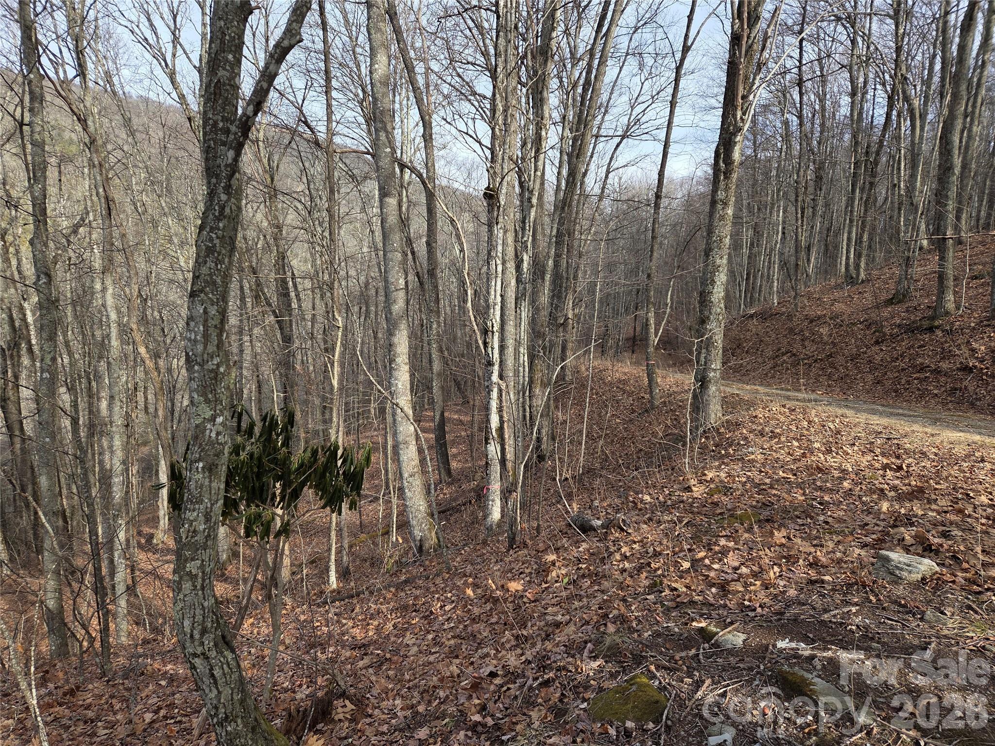 180 Goat House Way Maggie Valley NC 28751