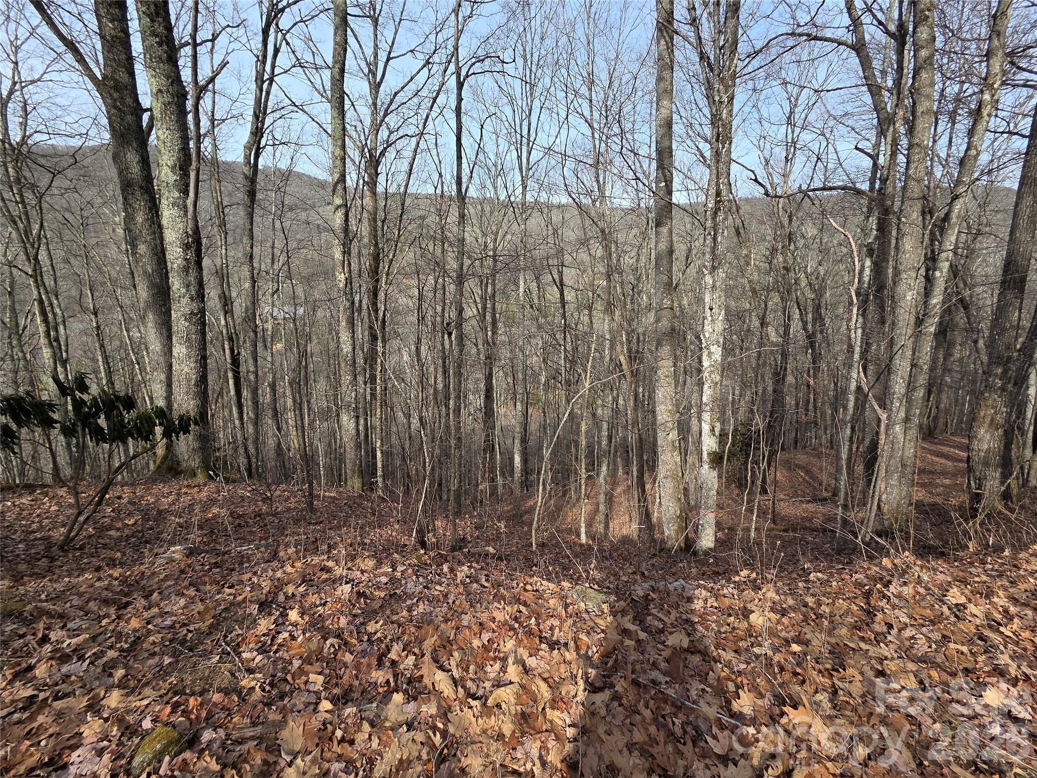180 Goat House Way Maggie Valley NC 28751