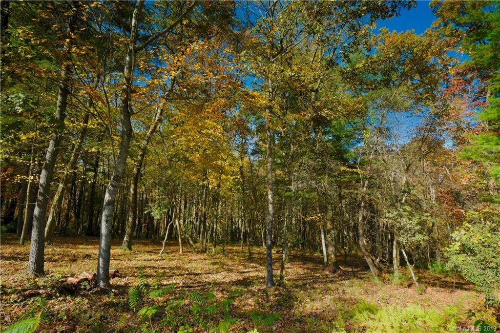 27 Deep Creek Trail Arden NC 28704