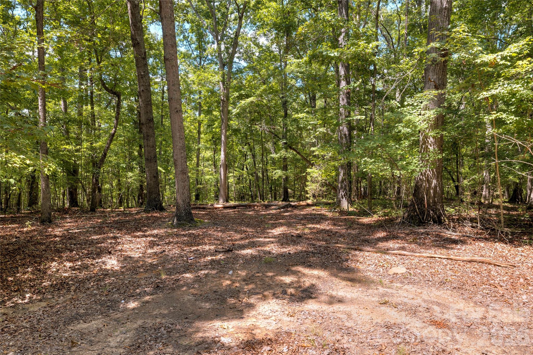 0 Pageland Highway Lancaster SC 29720