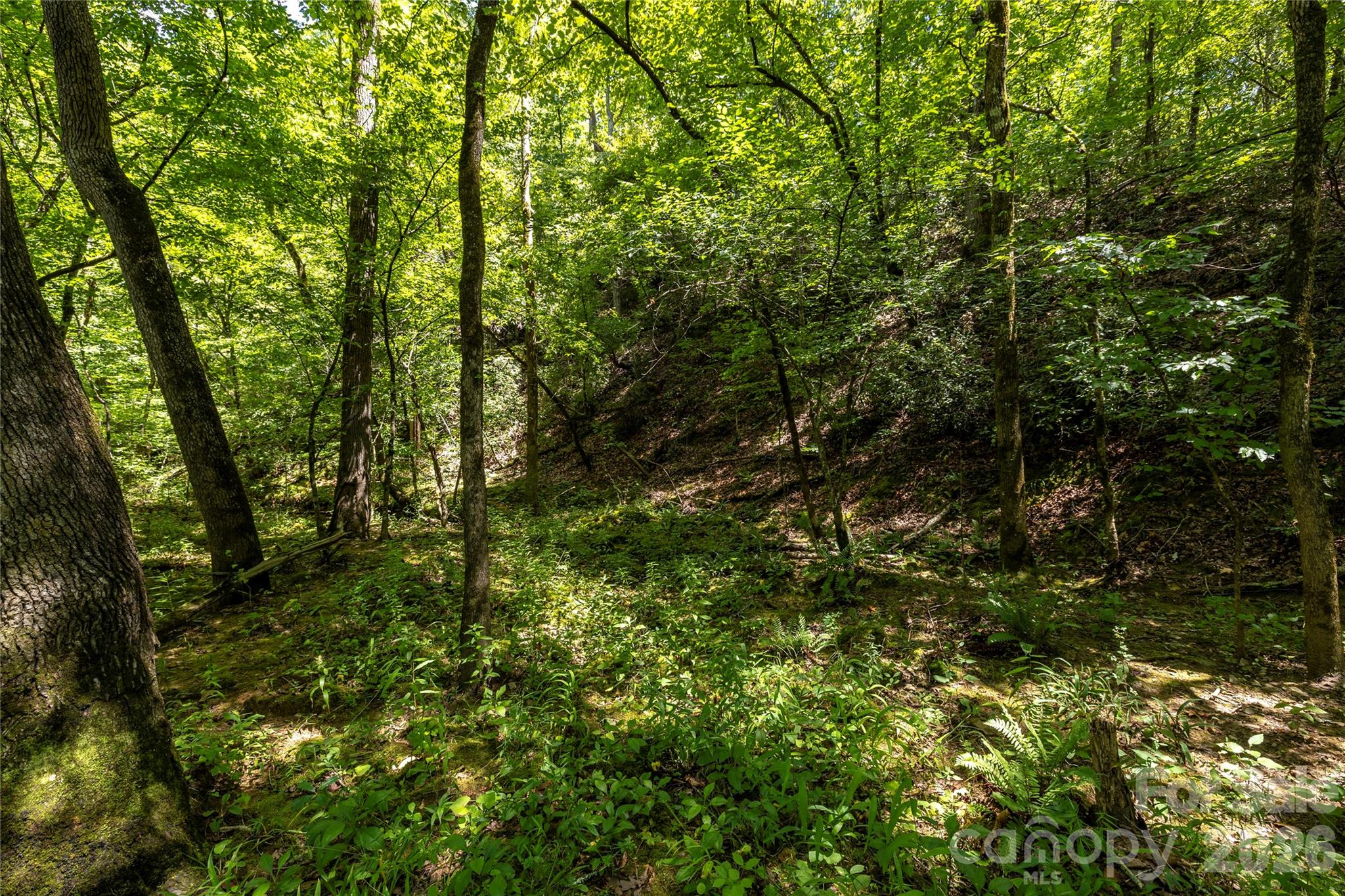 0 Pageland Highway Lancaster SC 29720