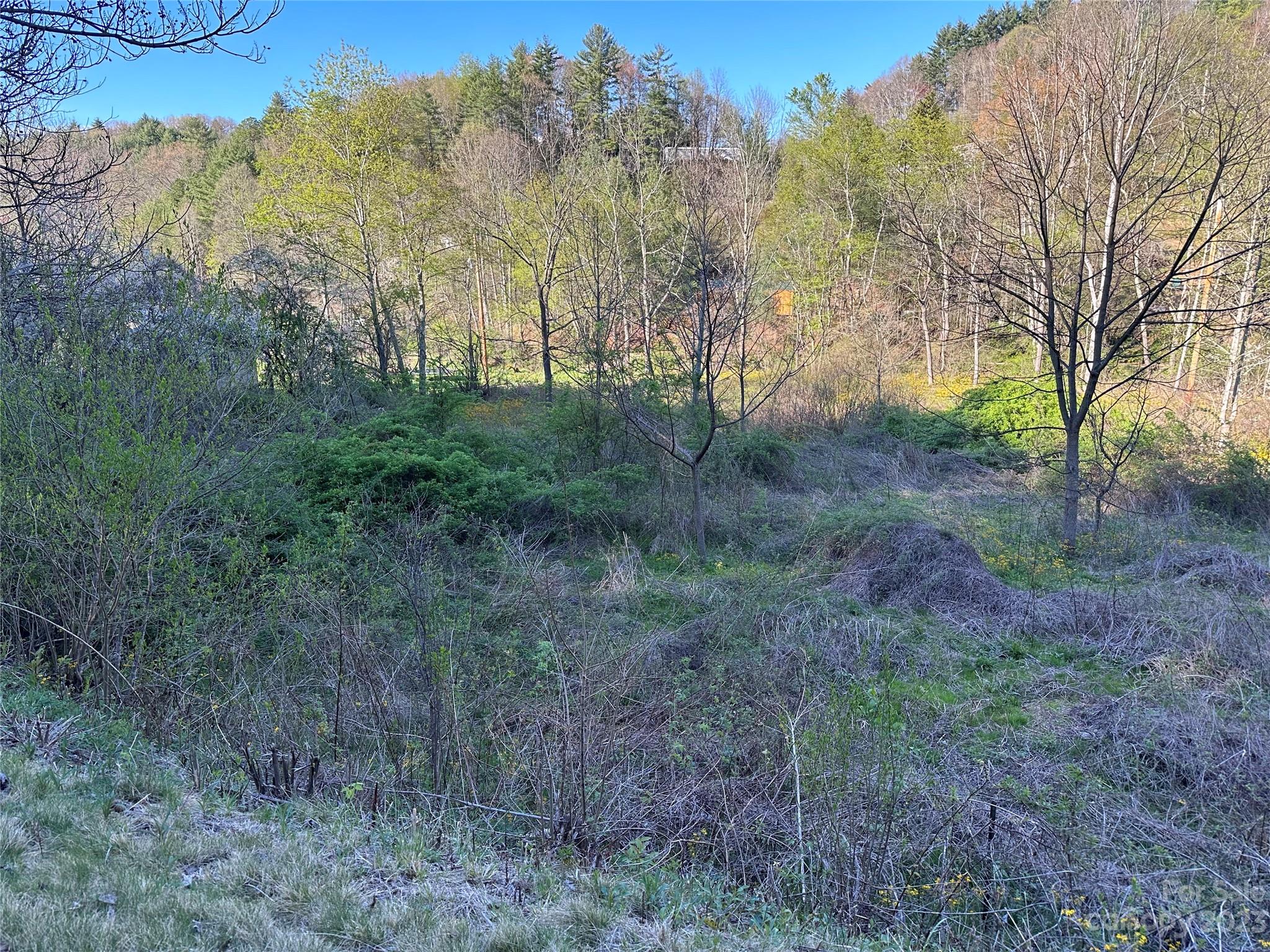 000 Amos Arrington Road Clyde NC 28721