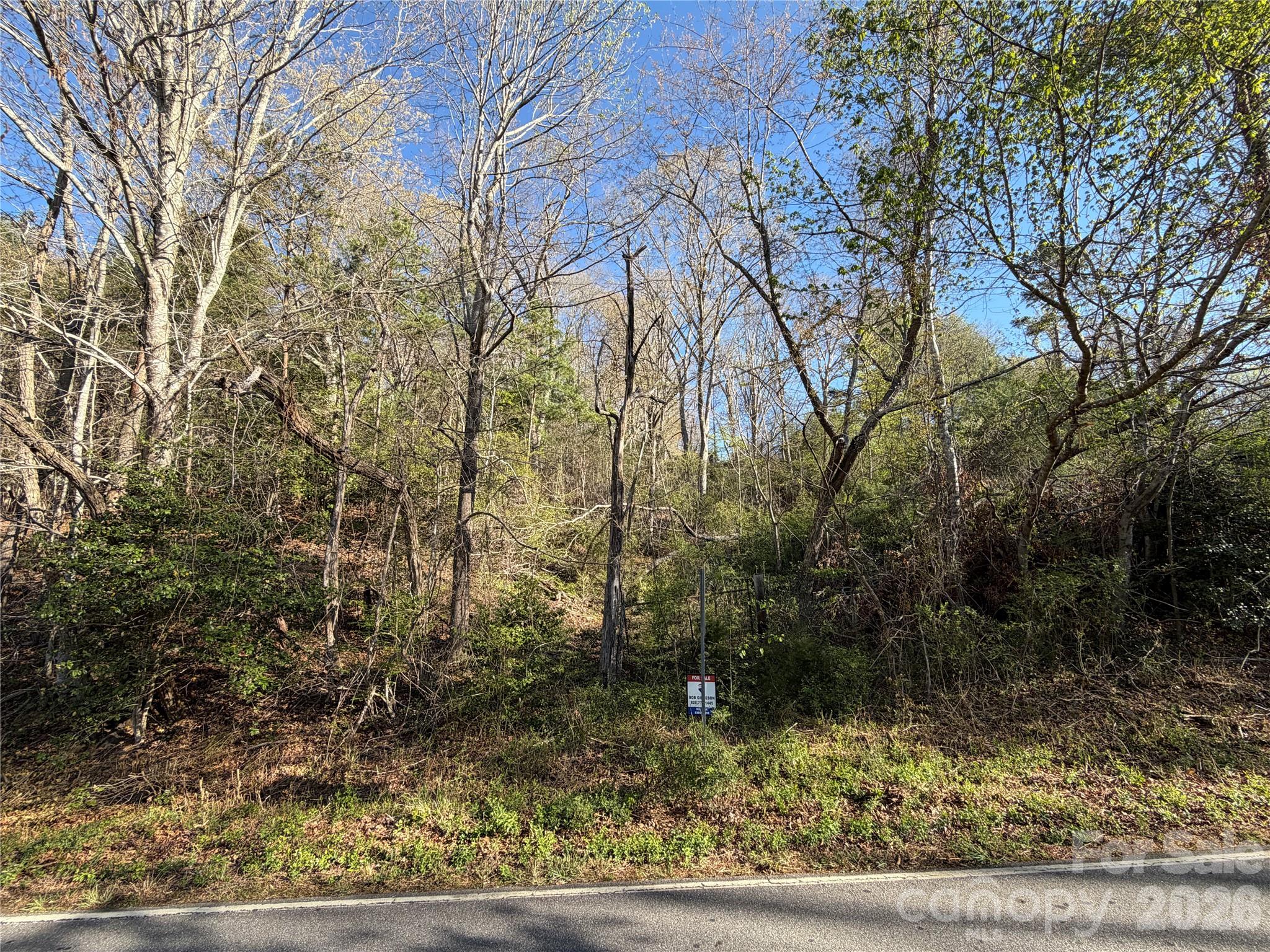 219 Bee Ridge Road Asheville NC 28803