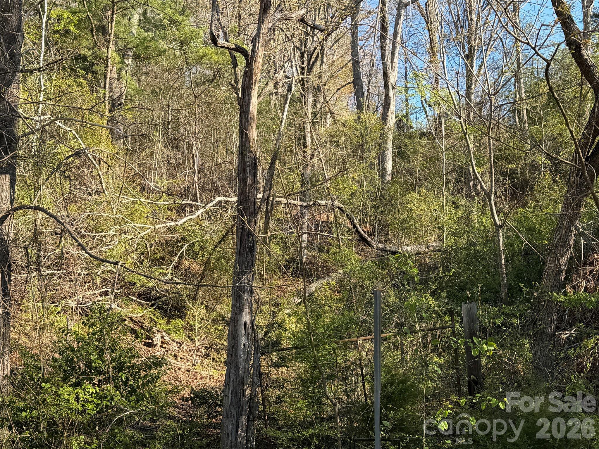 219 Bee Ridge Road Asheville NC 28803