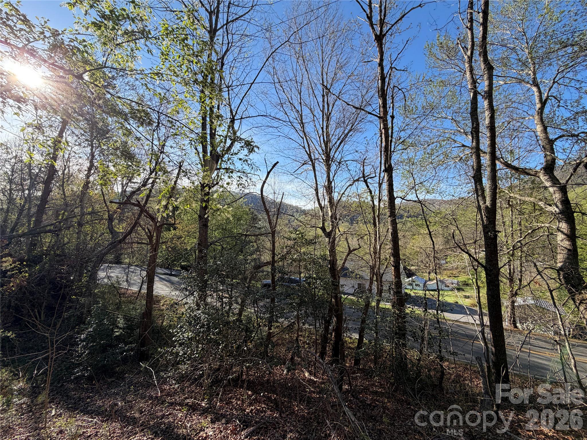 219 Bee Ridge Road Asheville NC 28803