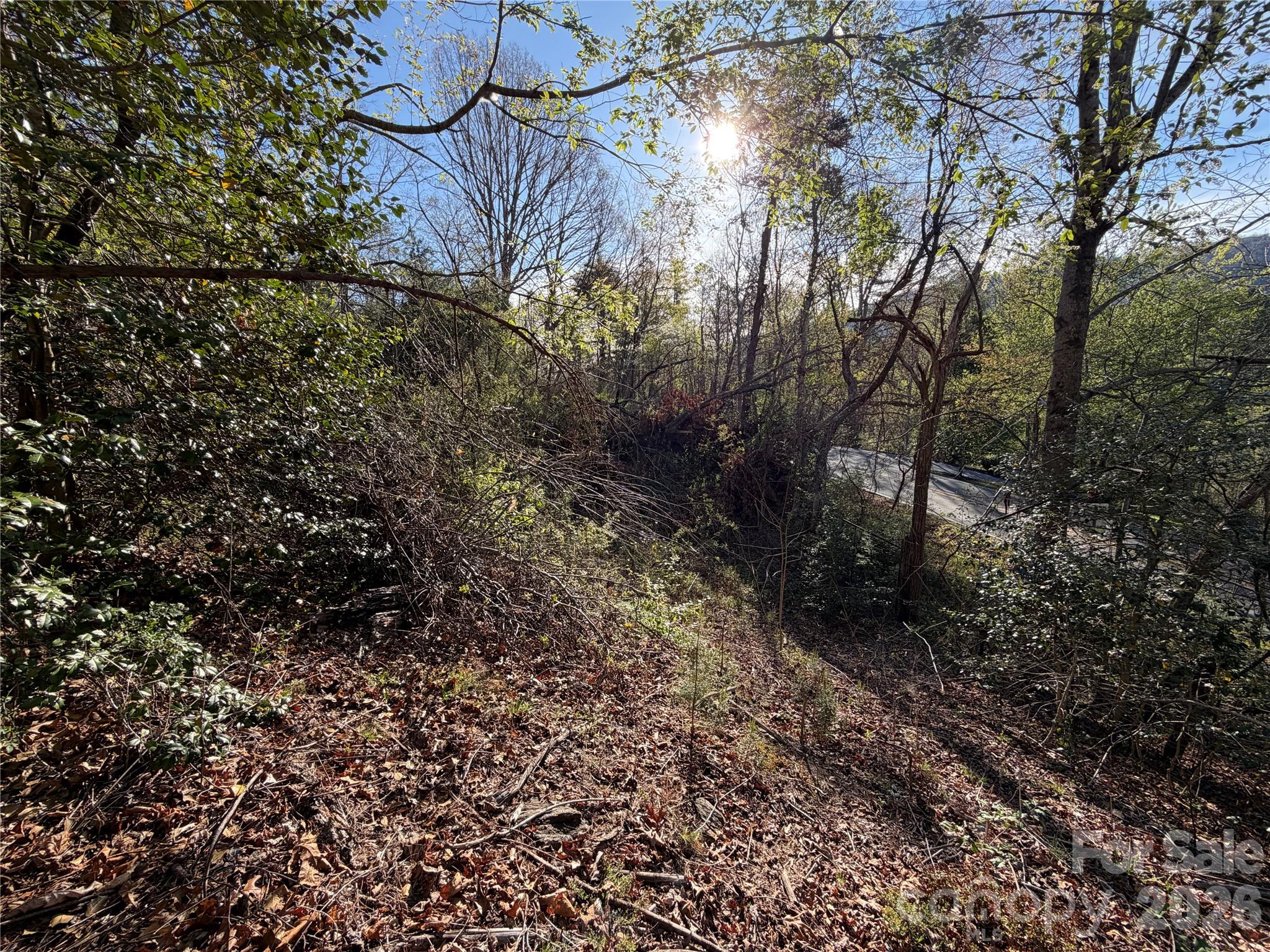 219 Bee Ridge Road Asheville NC 28803