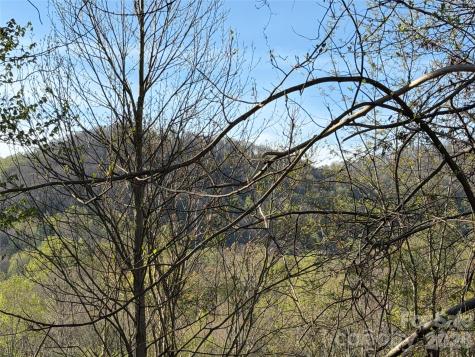 219 Bee Ridge Road Asheville NC 28803