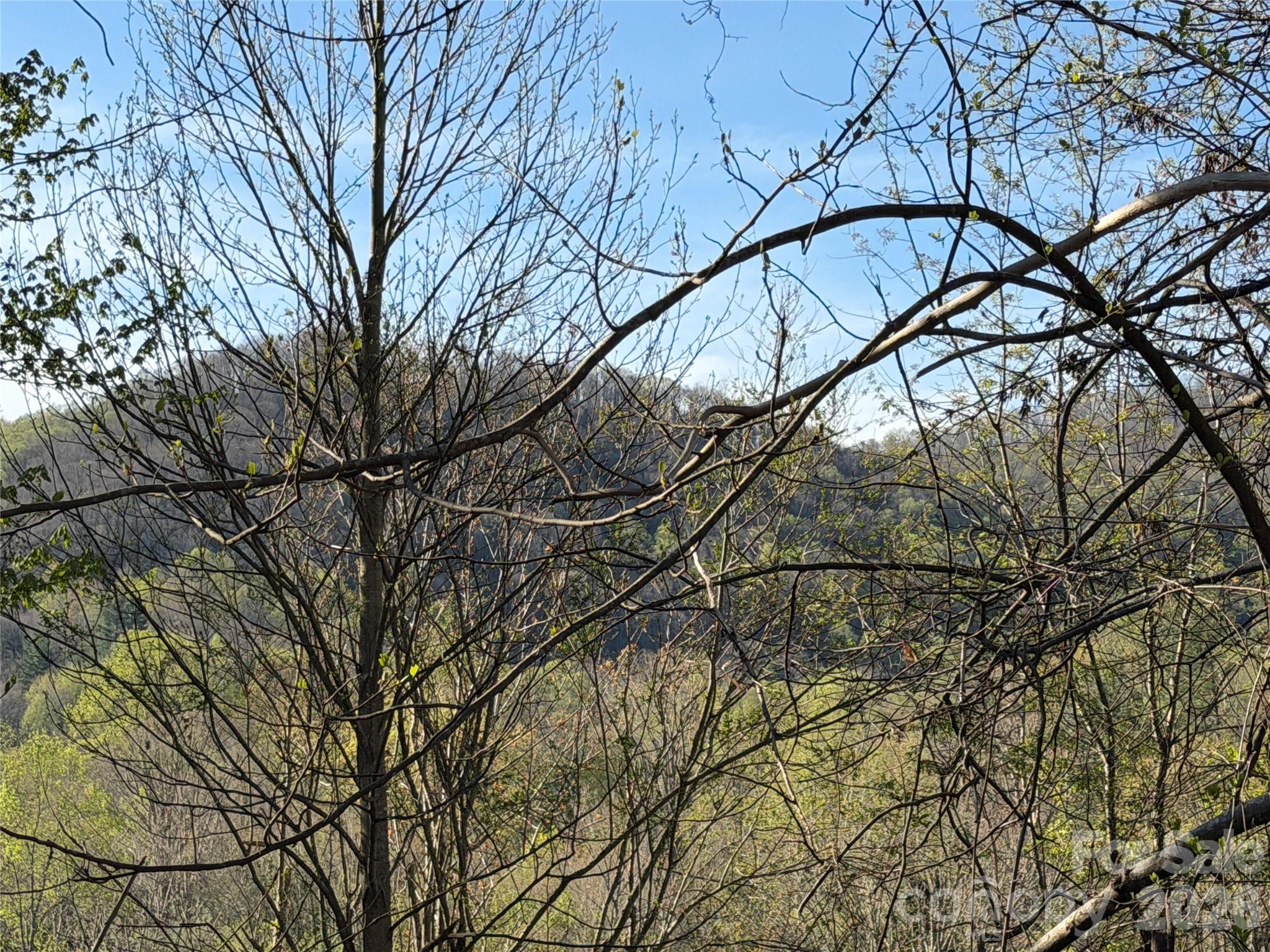 219 Bee Ridge Road Asheville NC 28803