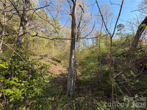 219 Bee Ridge Road Asheville NC 28803