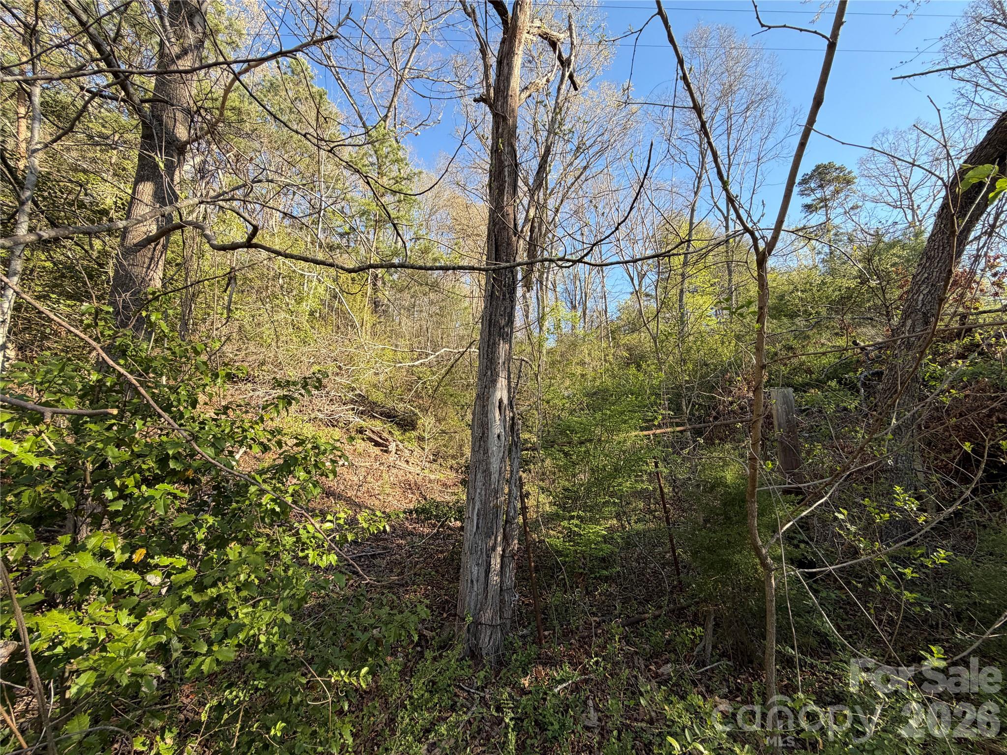 219 Bee Ridge Road Asheville NC 28803