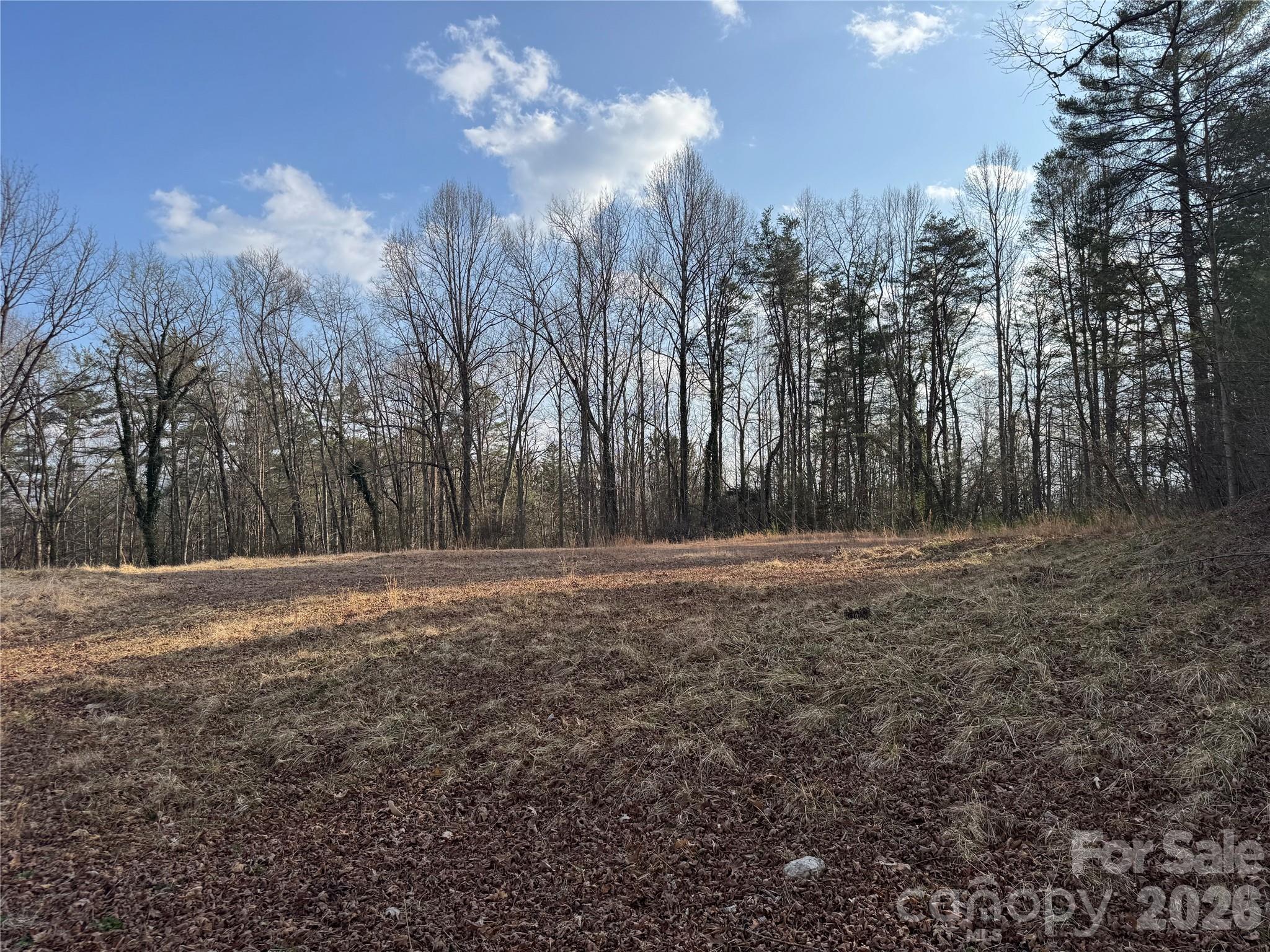 481 Fisher Road Brevard NC 28712