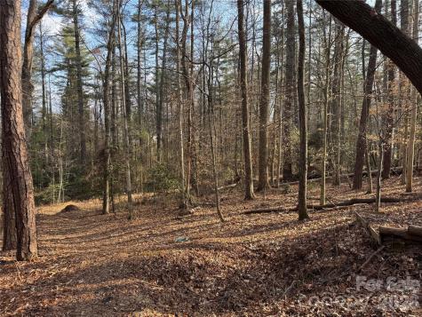 481 Fisher Road Brevard NC 28712