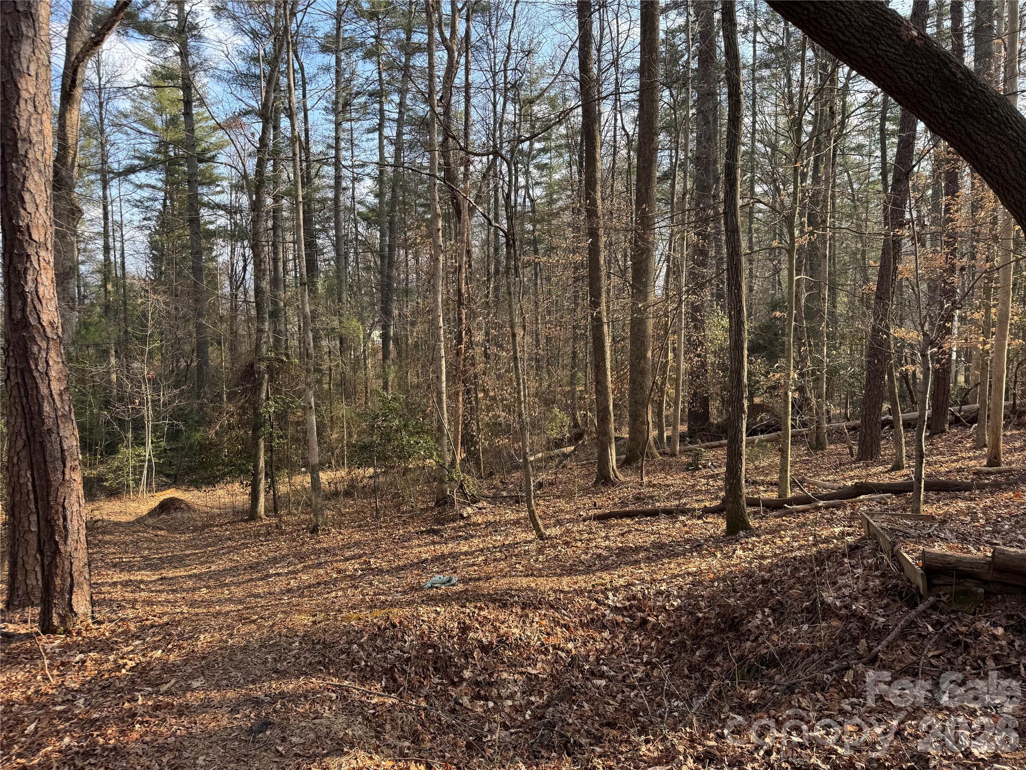 481 Fisher Road Brevard NC 28712