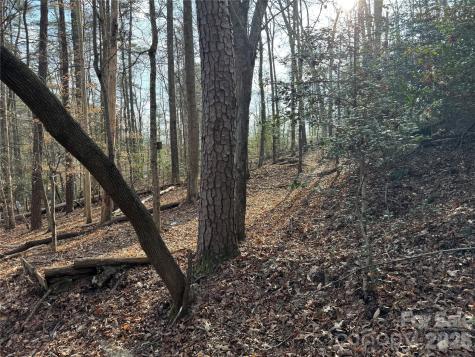 481 Fisher Road Brevard NC 28712