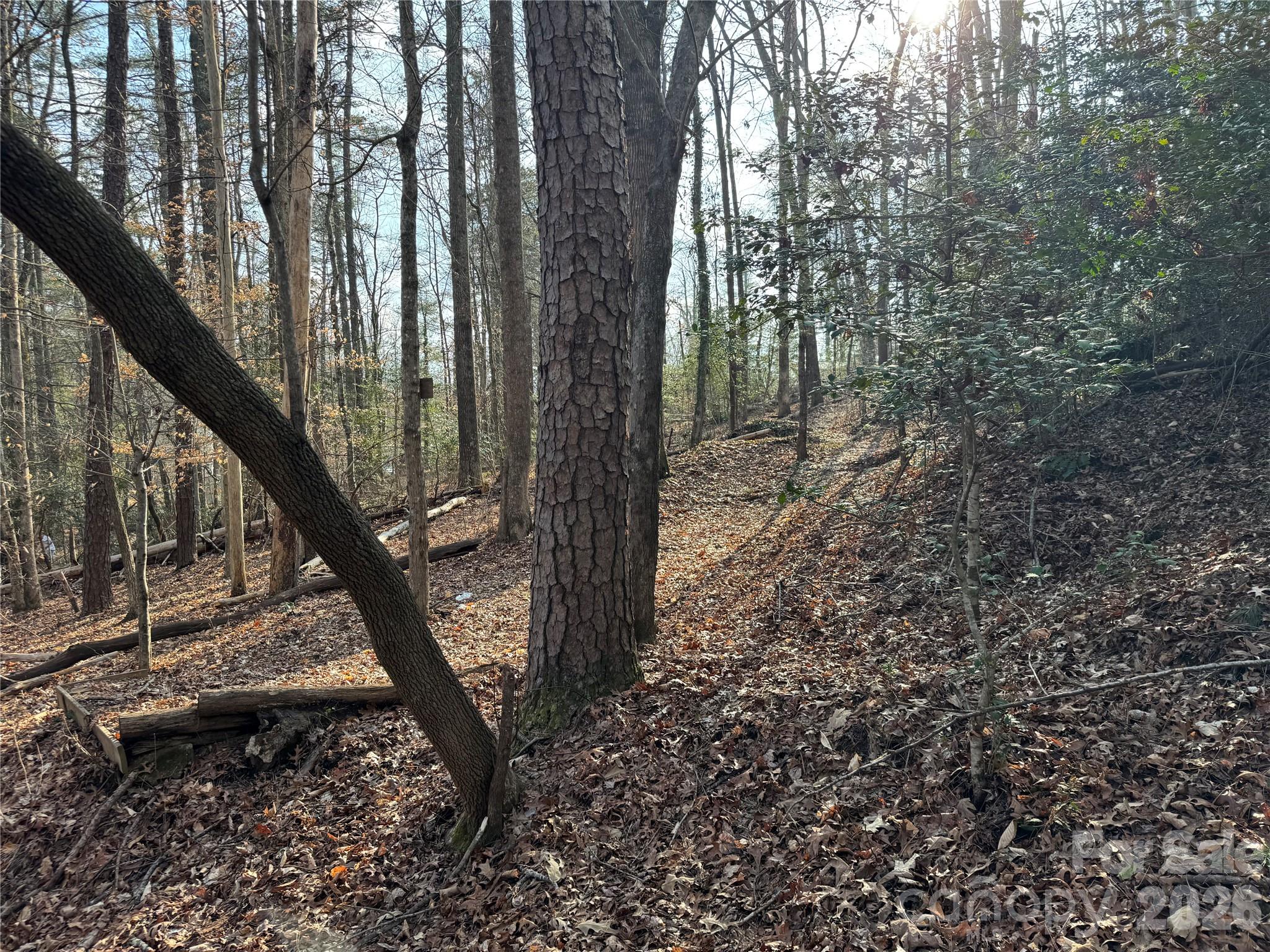 481 Fisher Road Brevard NC 28712