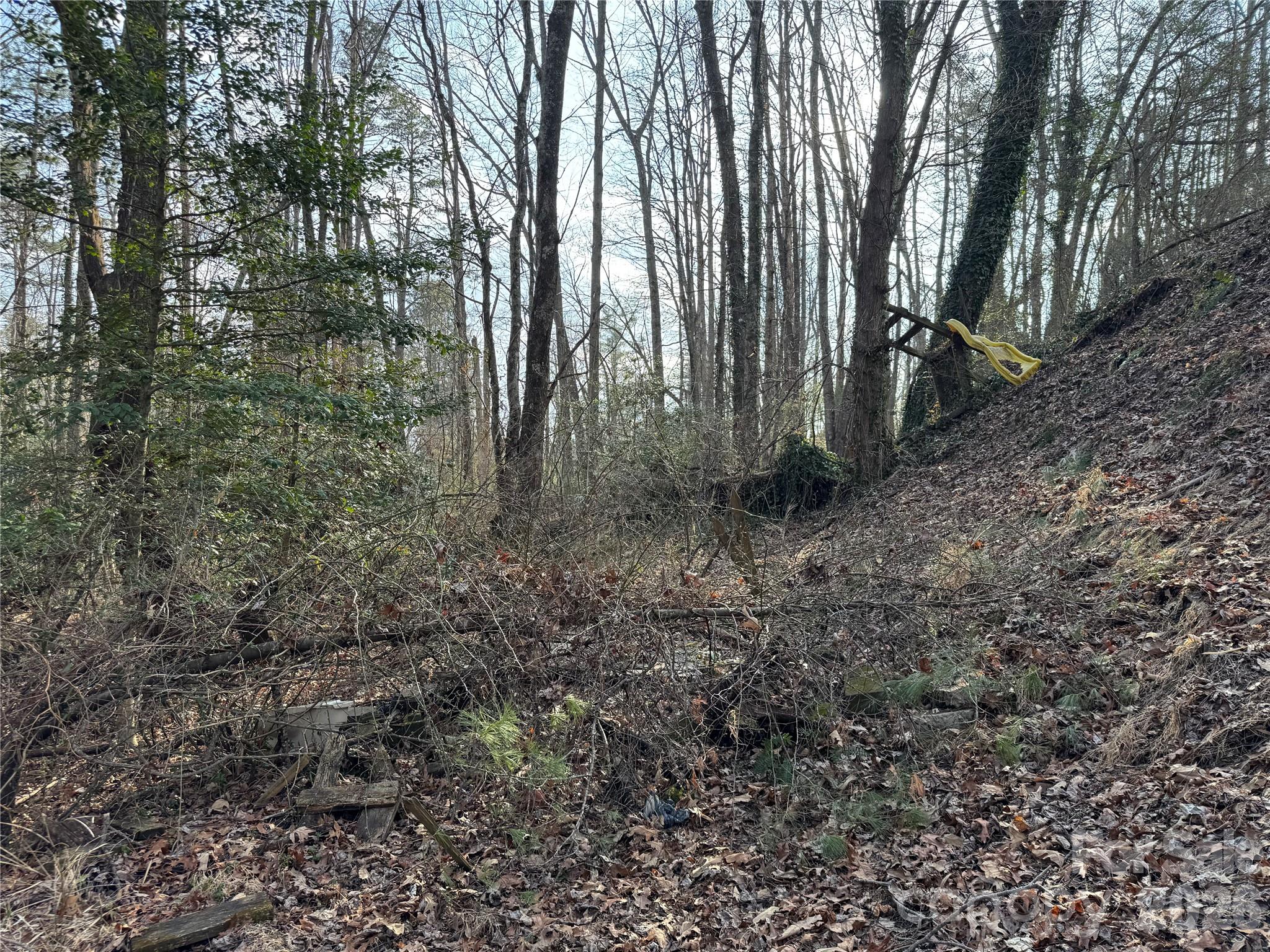 481 Fisher Road Brevard NC 28712