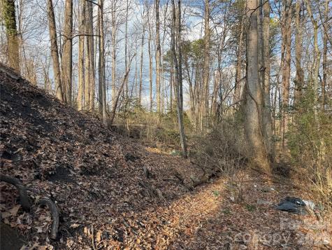481 Fisher Road Brevard NC 28712