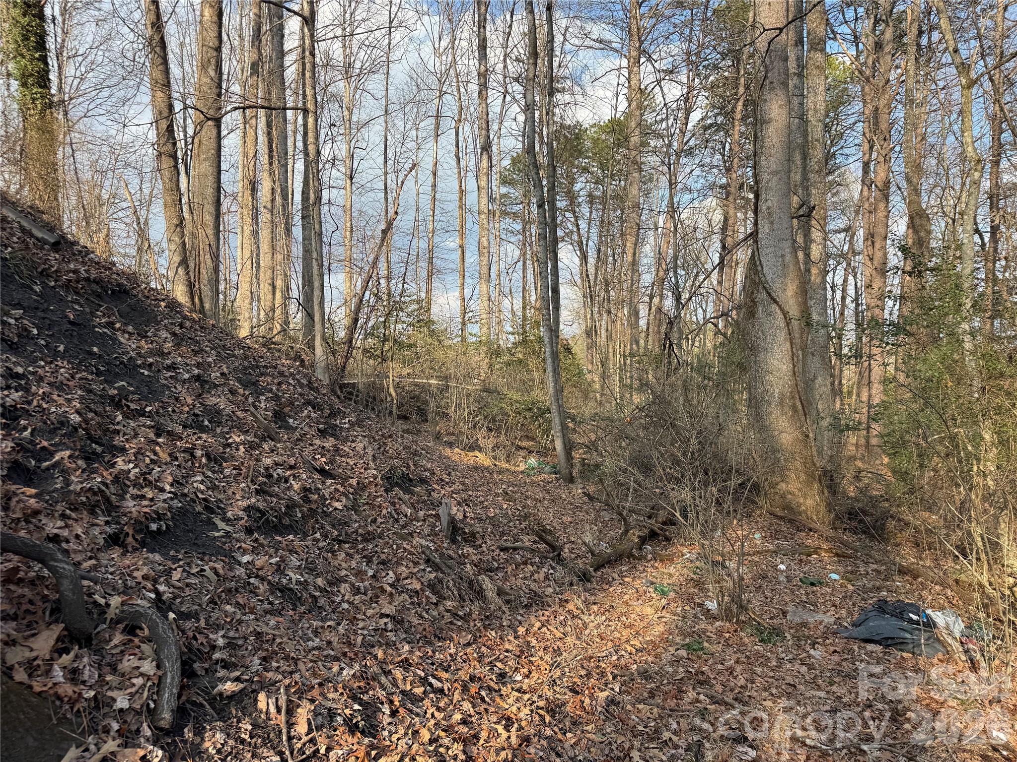 481 Fisher Road Brevard NC 28712