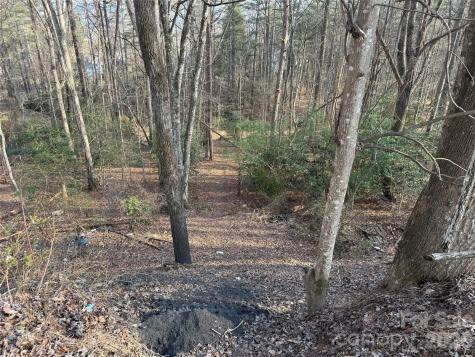 481 Fisher Road Brevard NC 28712