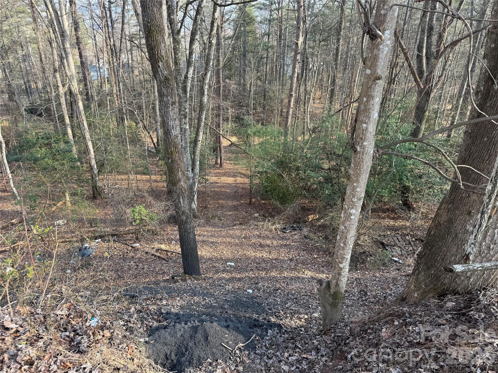 481 Fisher Road Brevard NC 28712