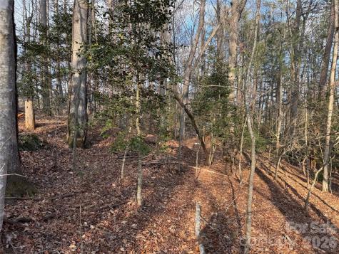 481 Fisher Road Brevard NC 28712