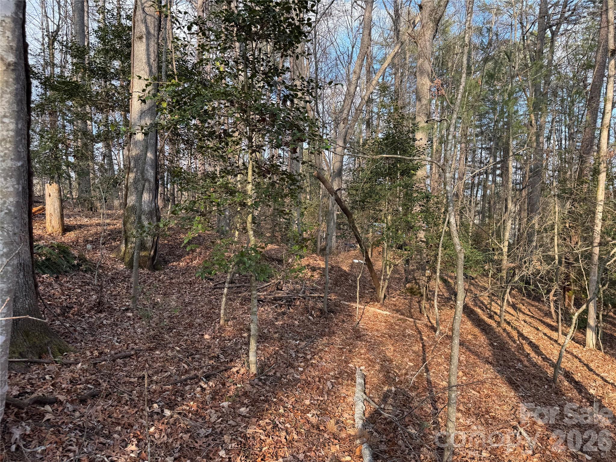 481 Fisher Road Brevard NC 28712