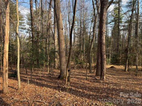 481 Fisher Road Brevard NC 28712