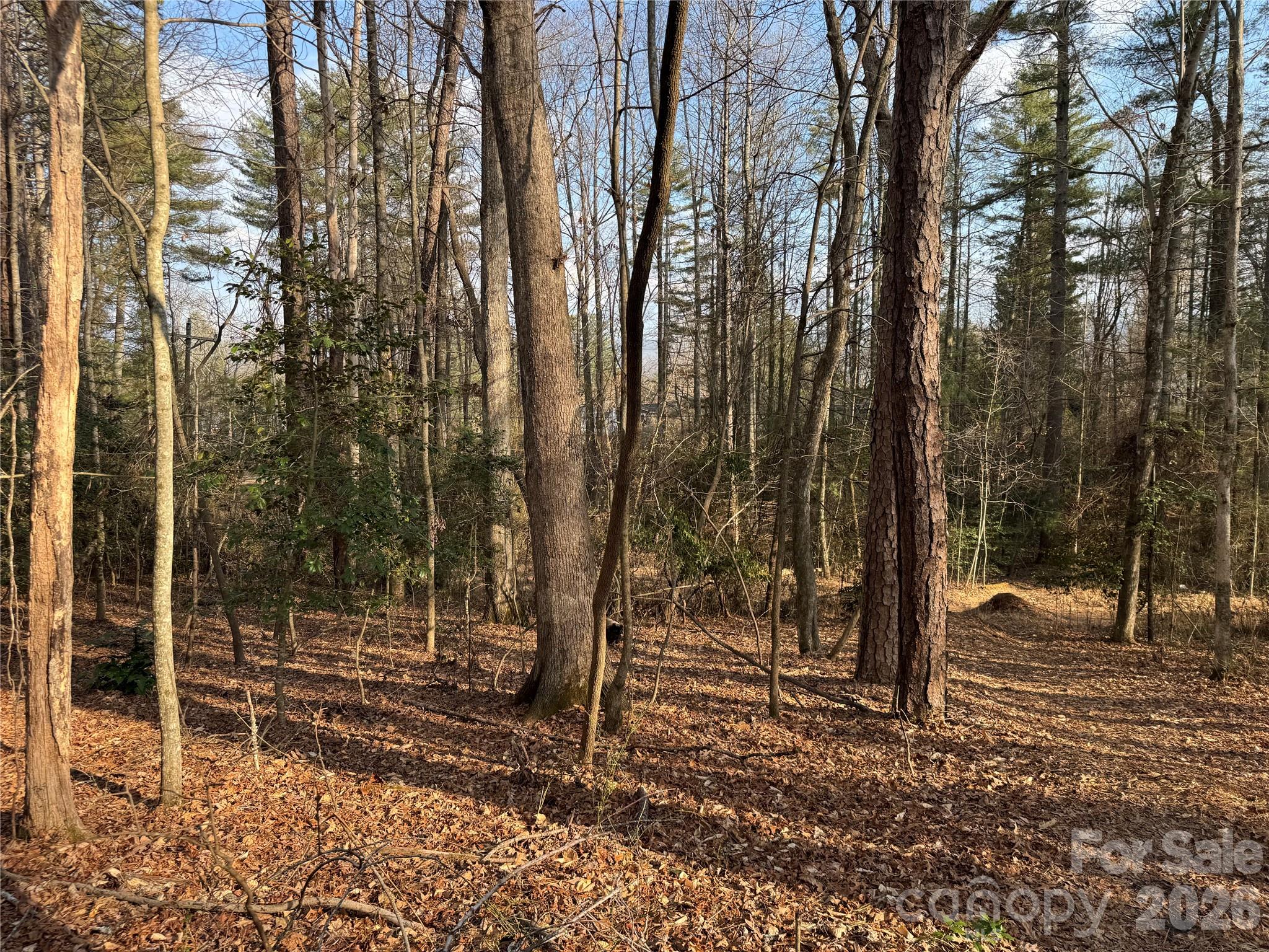 481 Fisher Road Brevard NC 28712