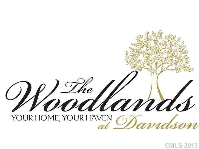 18311 Woodlands Trail Drive Davidson NC 28036