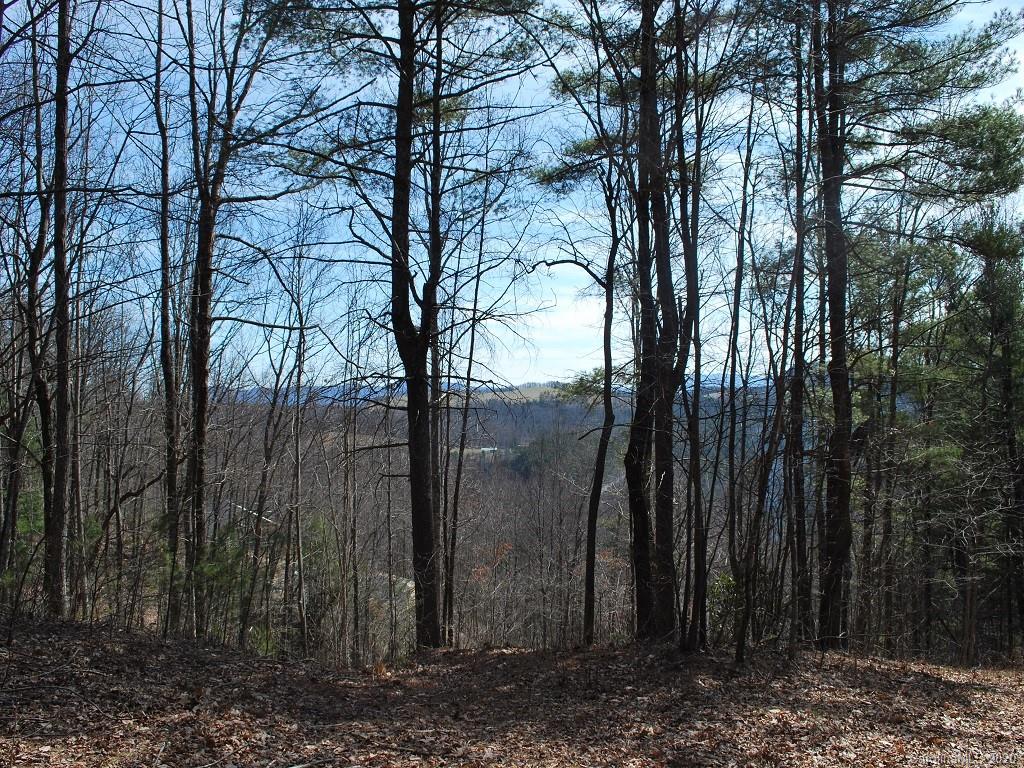 233 W Splitrail Drive Hendersonville NC 28792