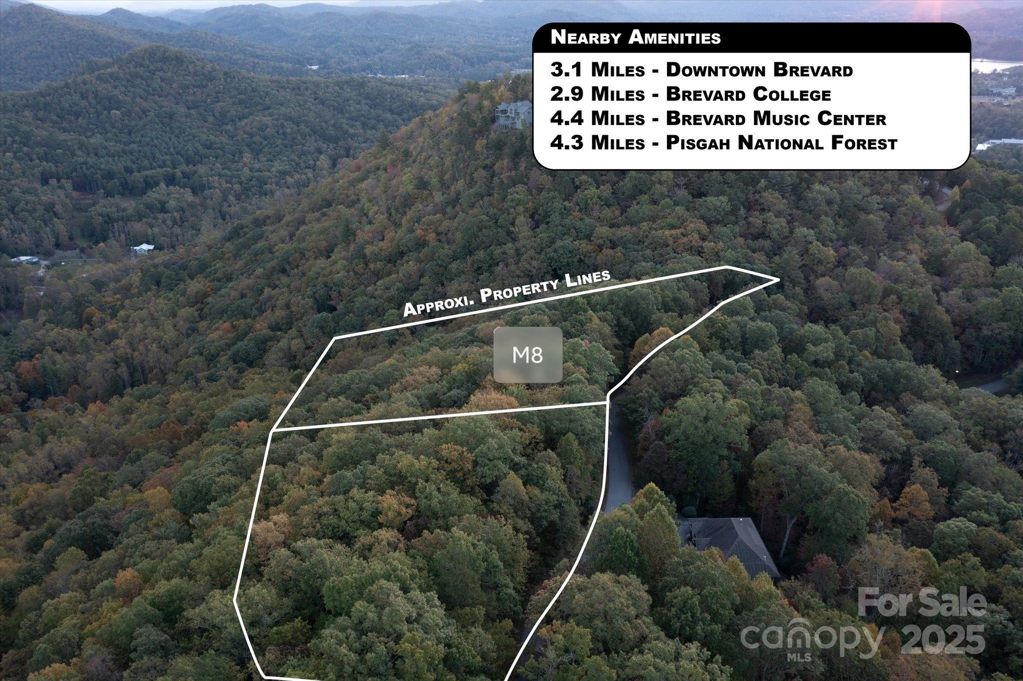 Tbd Pine Mountain Trail Brevard NC 28712