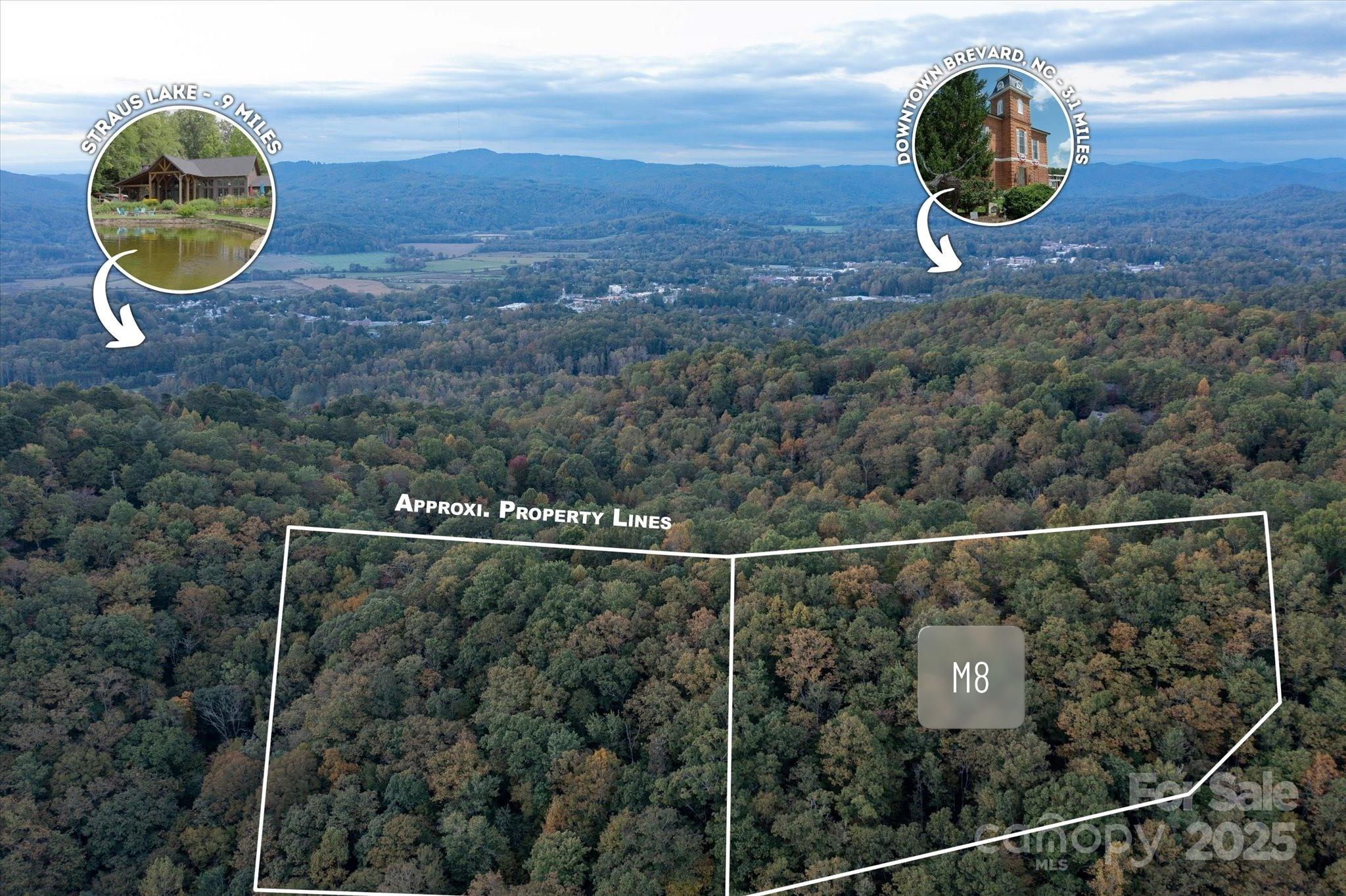 Tbd Pine Mountain Trail Brevard NC 28712