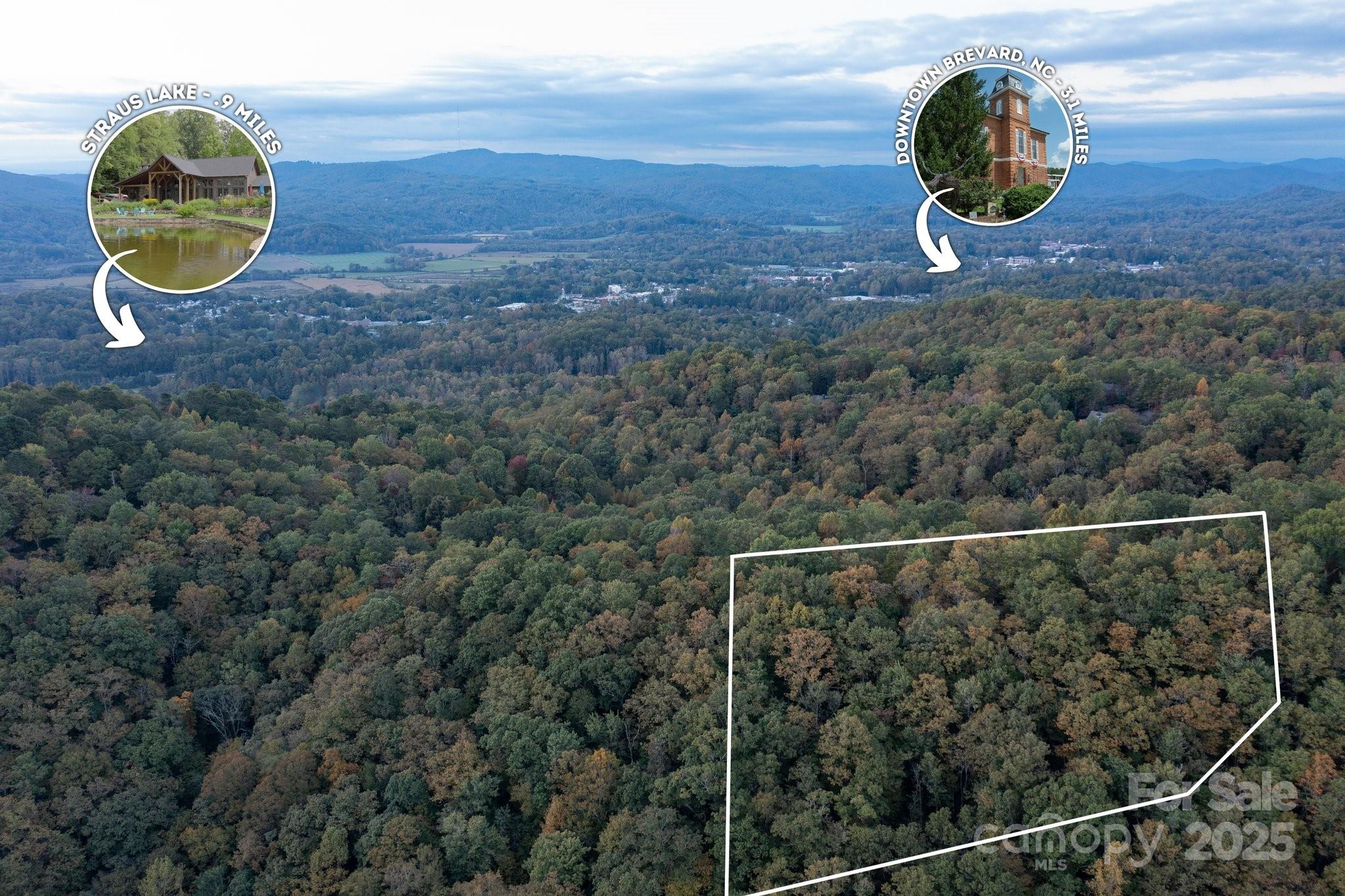 Tbd Pine Mountain Trail Brevard NC 28712