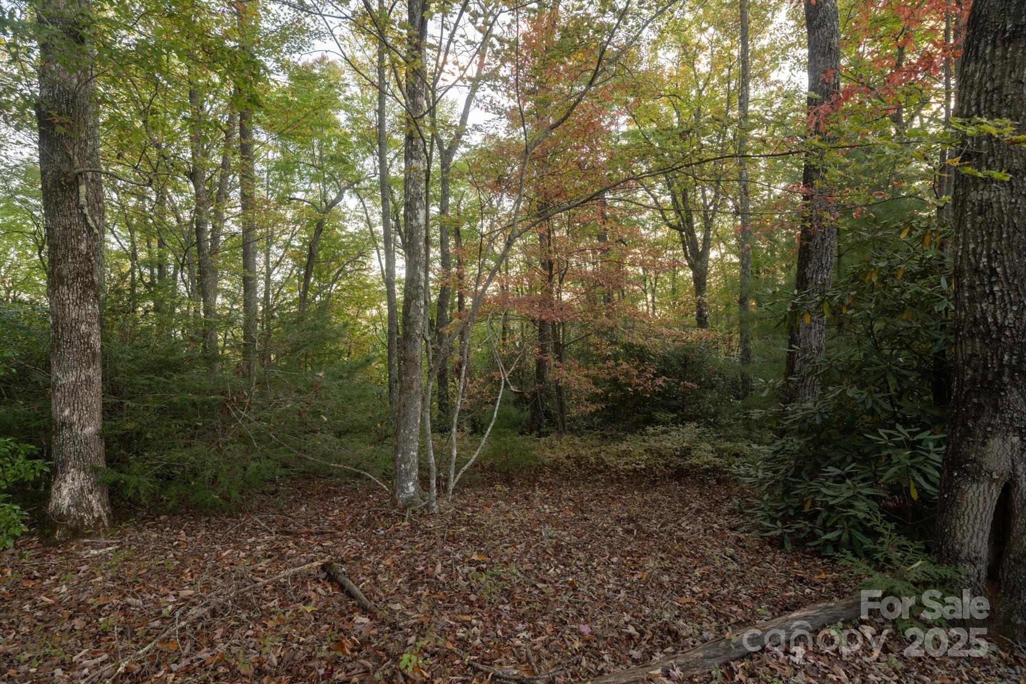 Tbd Pine Mountain Trail Brevard NC 28712