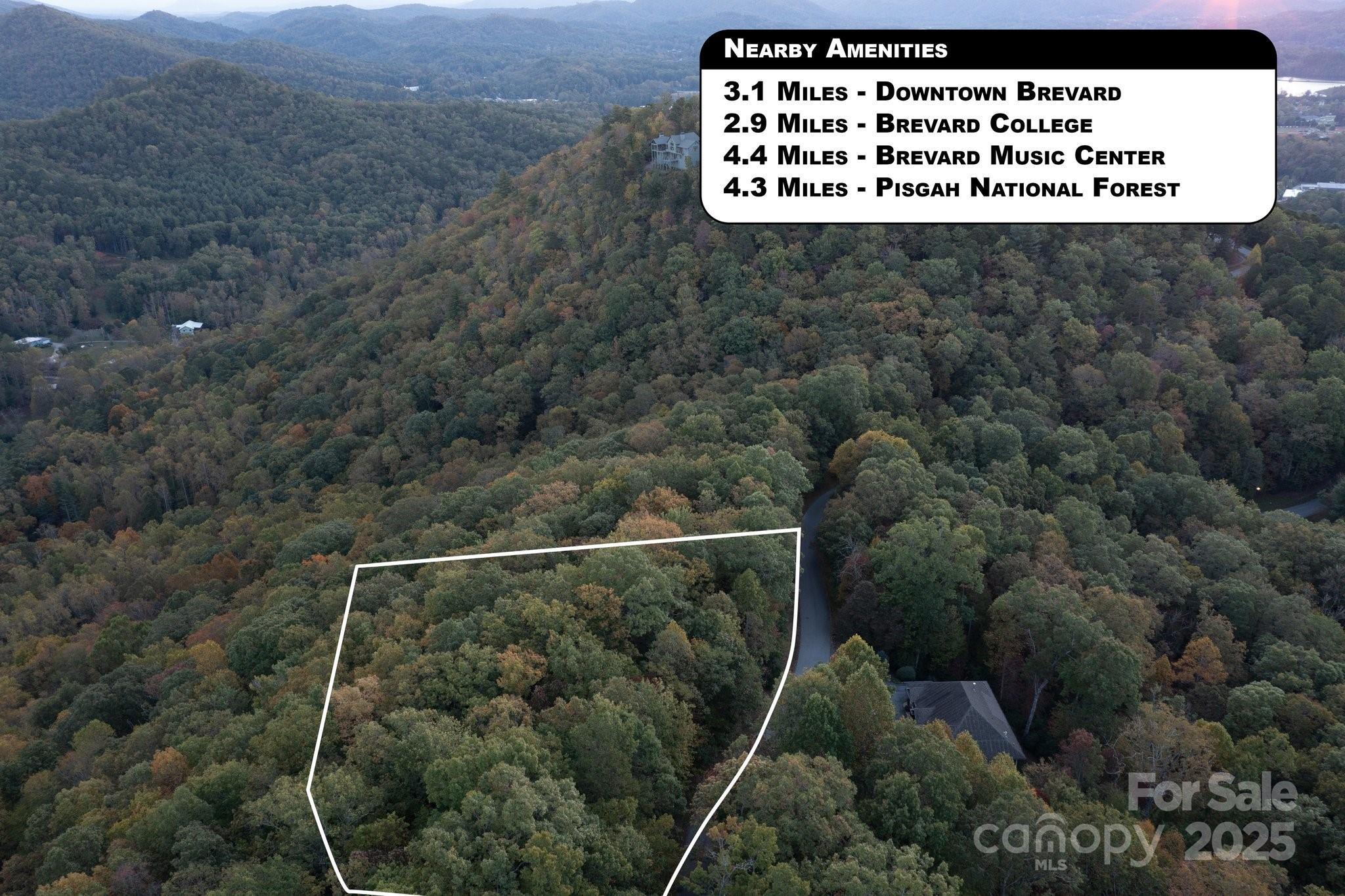 Tbd Pine Mountain Trail Brevard NC 28712
