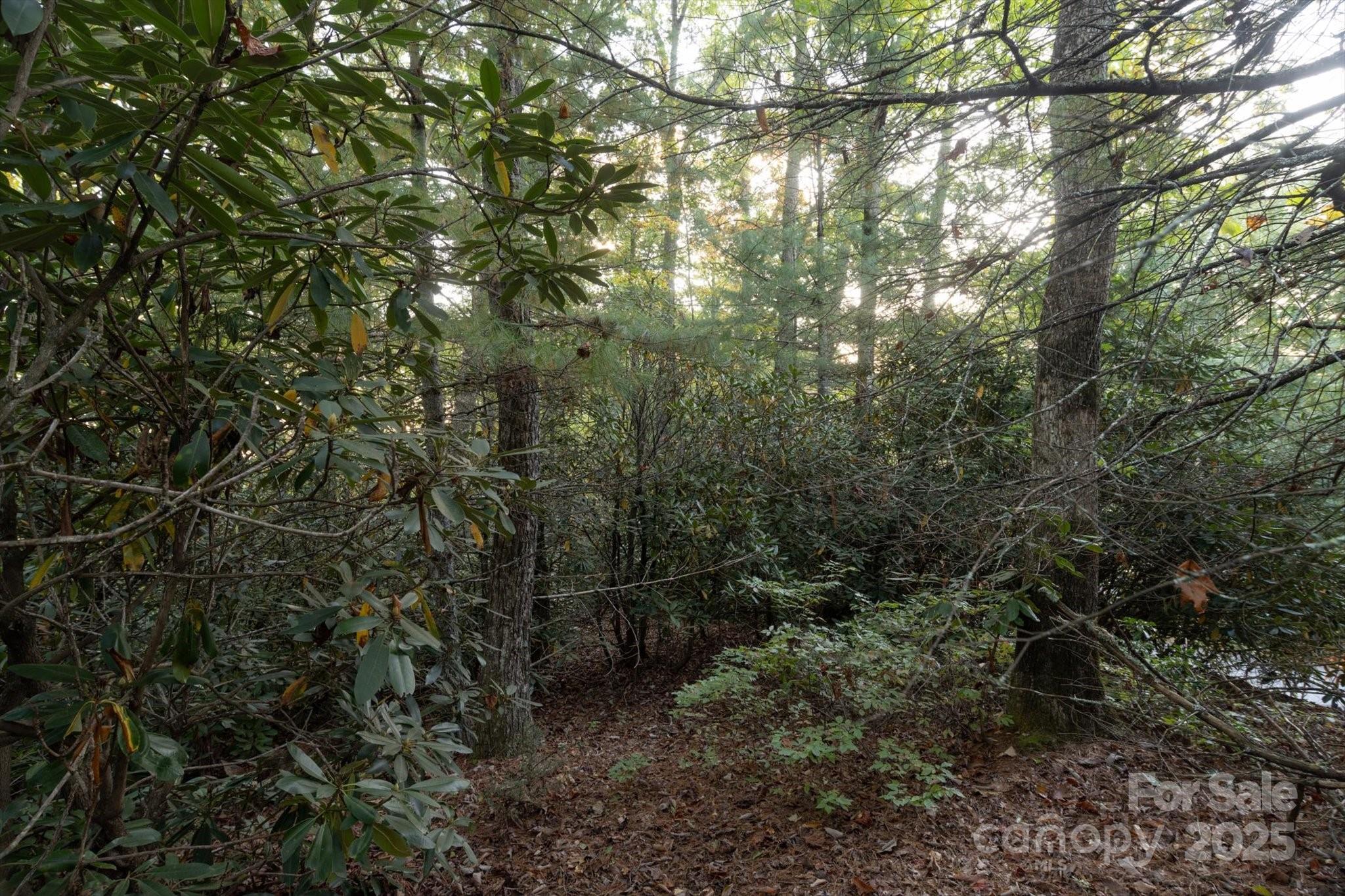 Tbd Pine Mountain Trail Brevard NC 28712