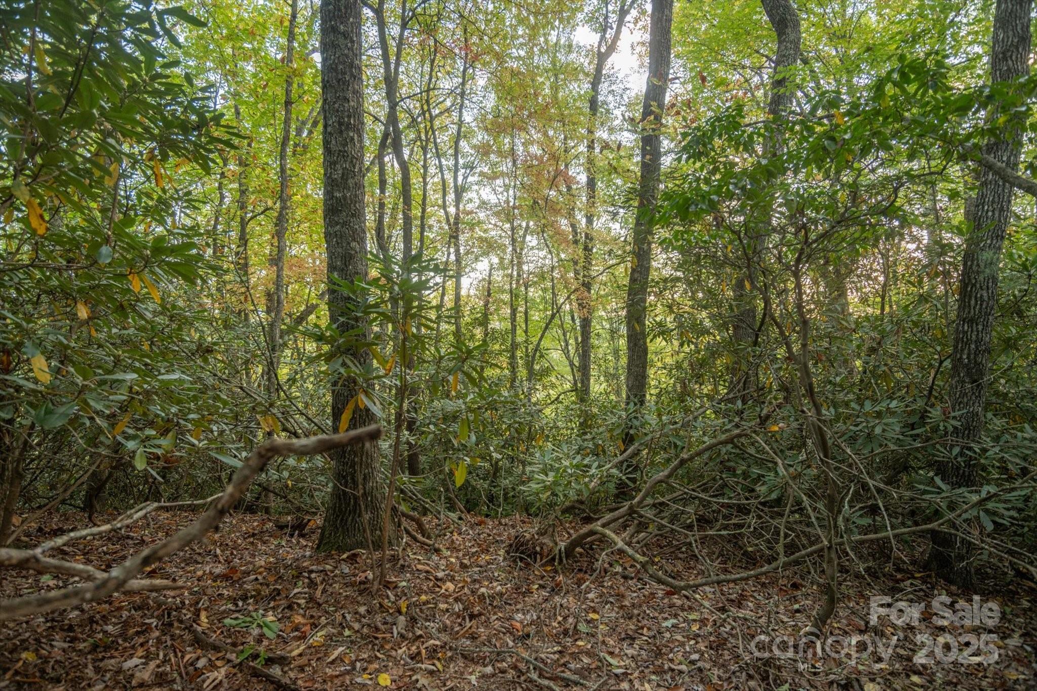 Tbd Pine Mountain Trail Brevard NC 28712