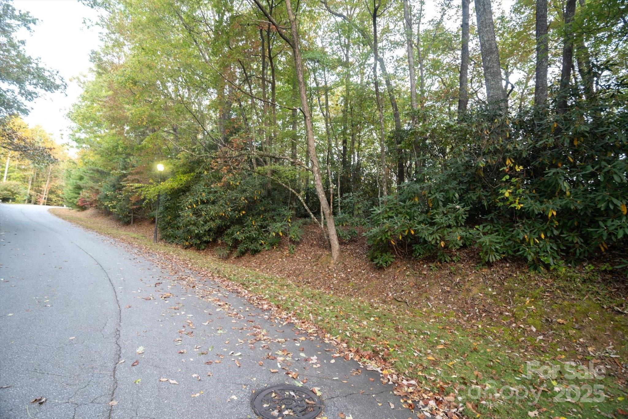 Tbd Pine Mountain Trail Brevard NC 28712