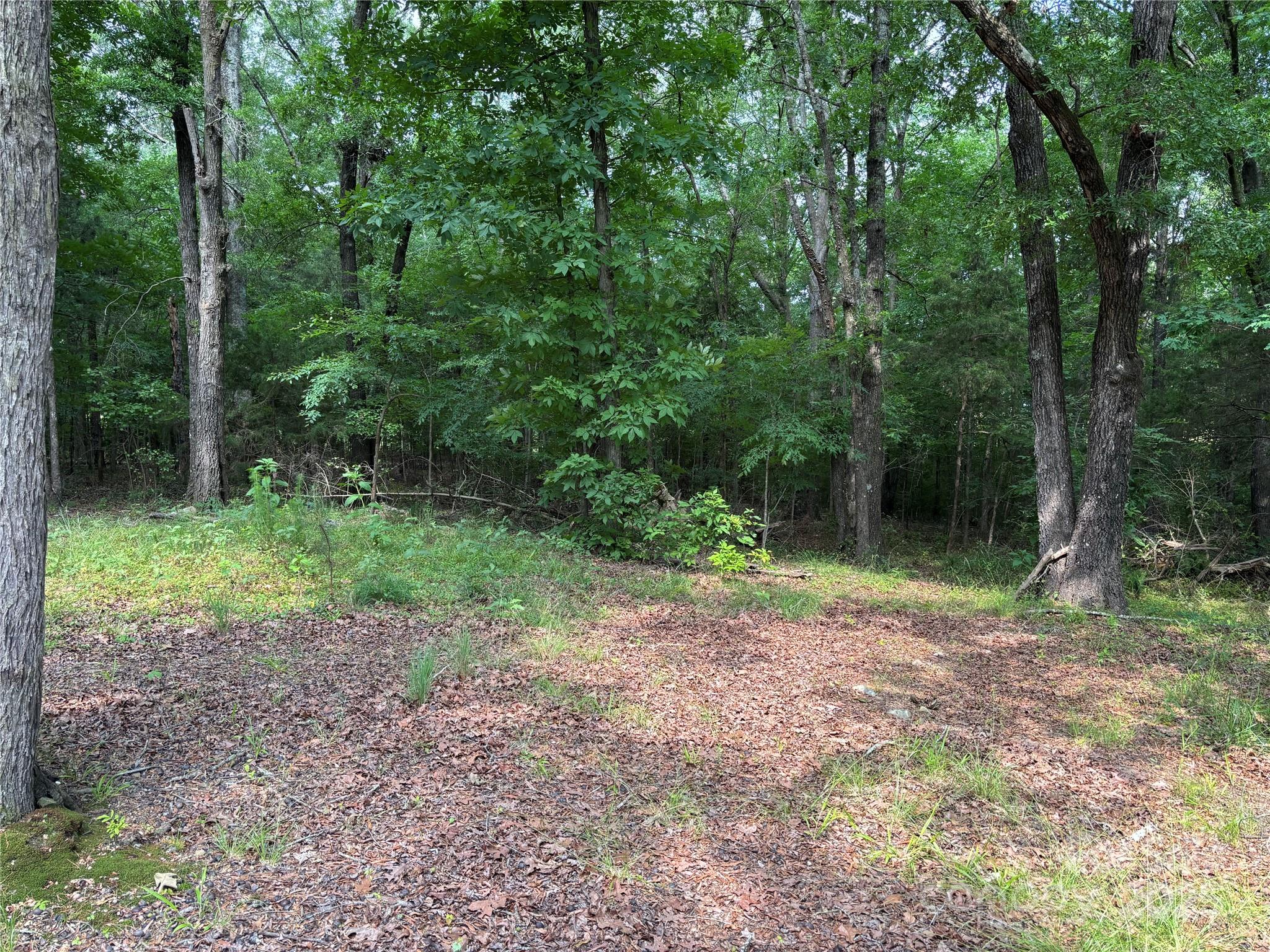 0 Wolf Pond Road Monroe NC 28112