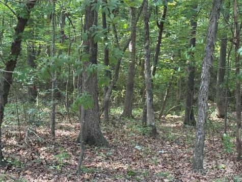 0 Wolf Pond Road Monroe NC 28112