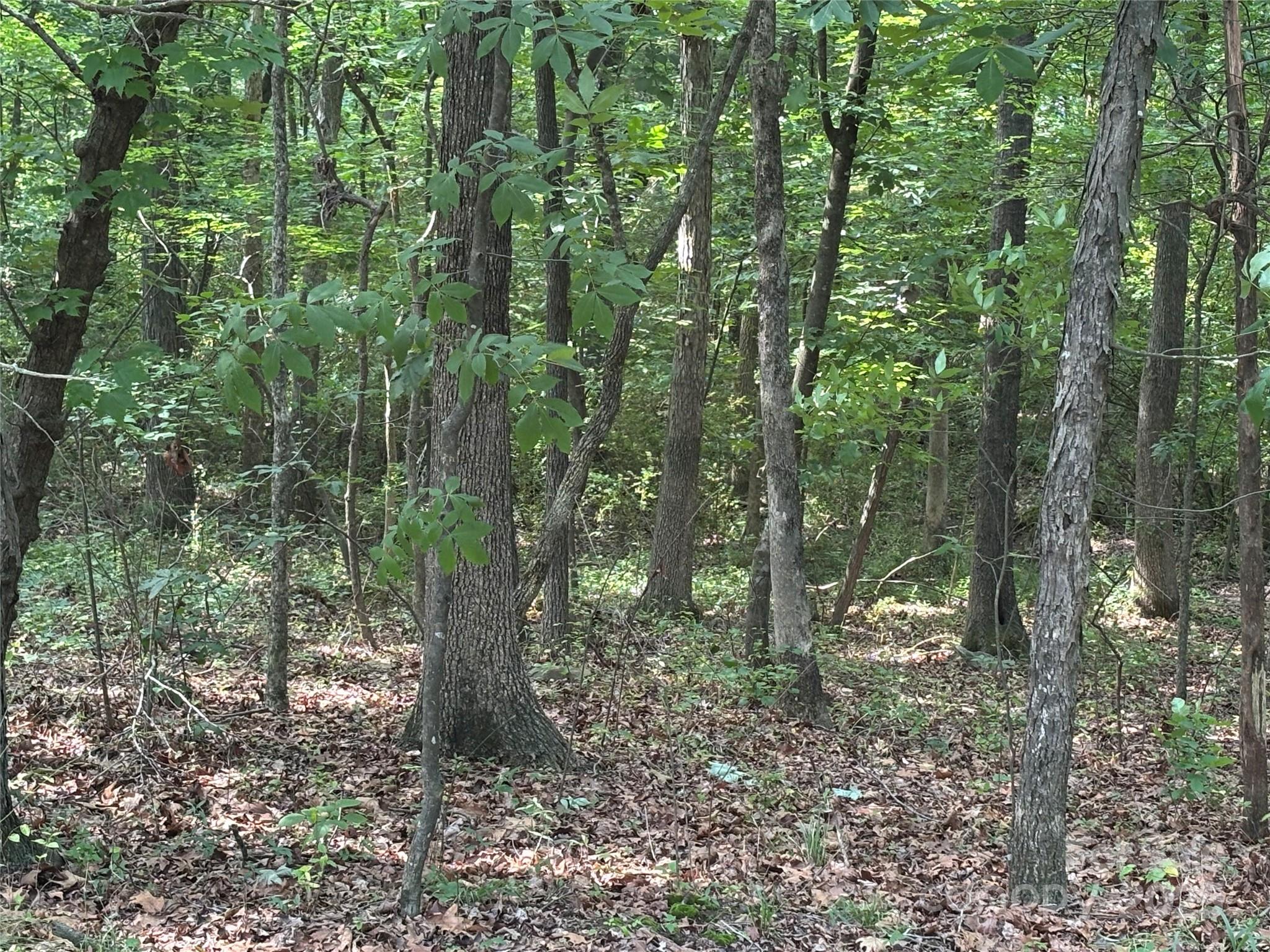 0 Wolf Pond Road Monroe NC 28112