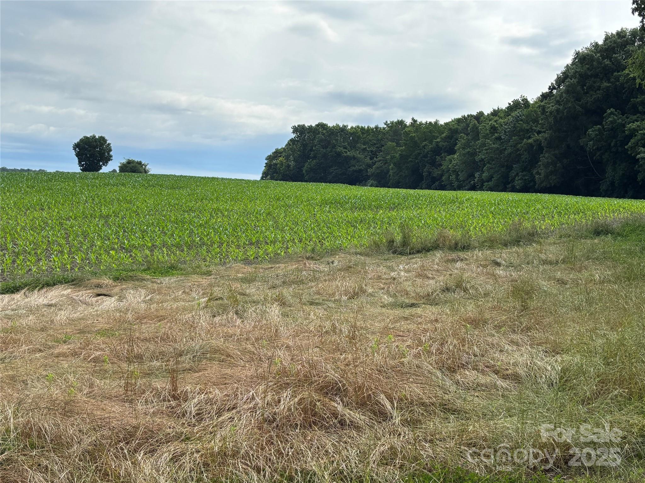 0 Wolf Pond Road Monroe NC 28112
